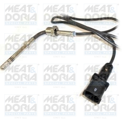 Sensor uitlaatgastemperatuur Meat Doria 11910