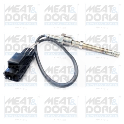 Sensor uitlaatgastemperatuur Meat Doria 12004