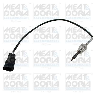 Sensor uitlaatgastemperatuur Meat Doria 12007E