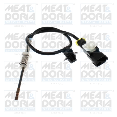 Sensor uitlaatgastemperatuur Meat Doria 12015