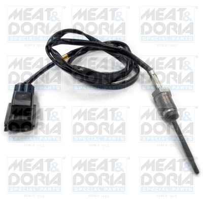 Sensor uitlaatgastemperatuur Meat Doria 12031