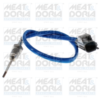 Sensor uitlaatgastemperatuur Meat Doria 12036