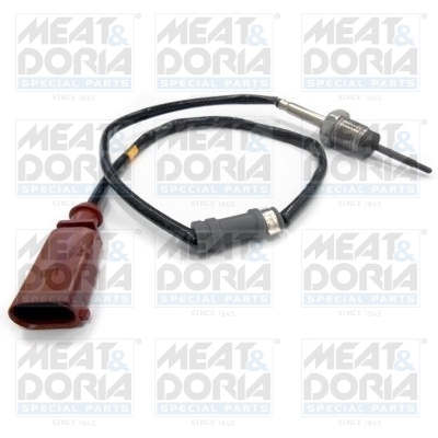 Sensor uitlaatgastemperatuur Meat Doria 12039