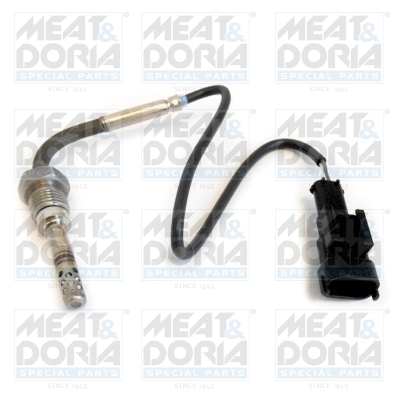 Sensor uitlaatgastemperatuur Meat Doria 12048