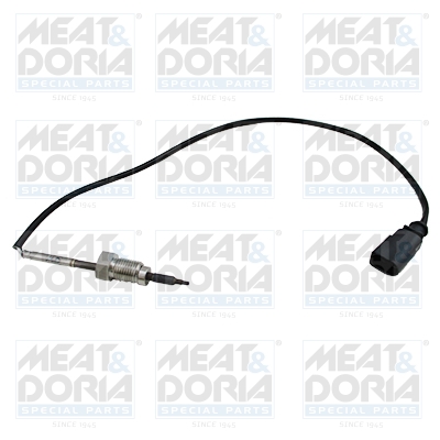 Sensor uitlaatgastemperatuur Meat Doria 12053E