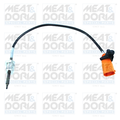 Sensor uitlaatgastemperatuur Meat Doria 12056