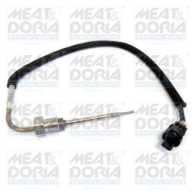 Sensor uitlaatgastemperatuur Meat Doria 12059