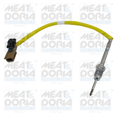 Sensor uitlaatgastemperatuur Meat Doria 12069E