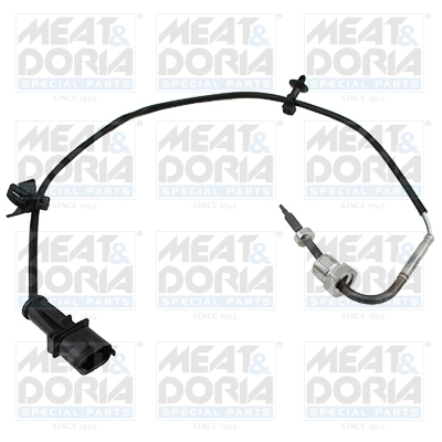 Sensor uitlaatgastemperatuur Meat Doria 12073