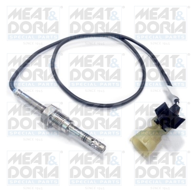 Sensor uitlaatgastemperatuur Meat Doria 12075