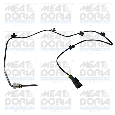 Sensor uitlaatgastemperatuur Meat Doria 12091E