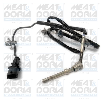 Sensor uitlaatgastemperatuur Meat Doria 12094