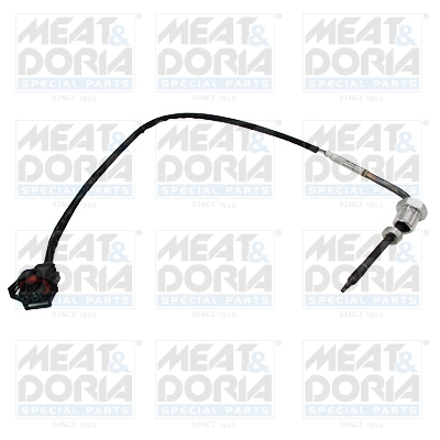 Sensor uitlaatgastemperatuur Meat Doria 12097