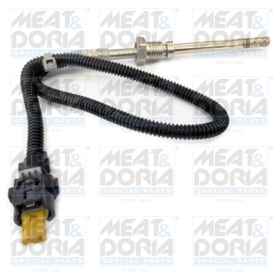 Sensor uitlaatgastemperatuur Meat Doria 12103