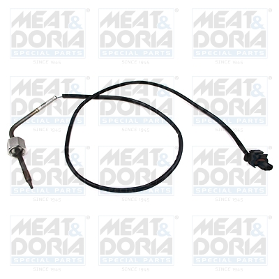 Sensor uitlaatgastemperatuur Meat Doria 12116E