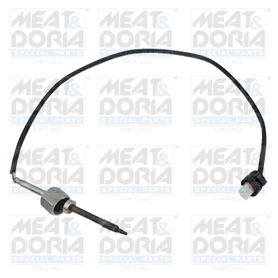 Sensor uitlaatgastemperatuur Meat Doria 12120E