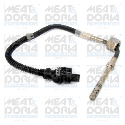 Sensor uitlaatgastemperatuur Meat Doria 12125