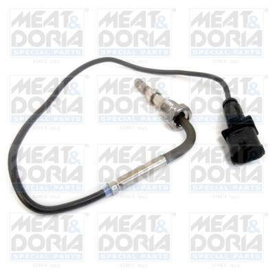 Sensor uitlaatgastemperatuur Meat Doria 12129