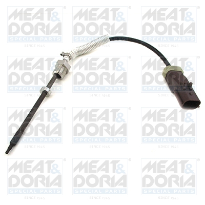 Sensor uitlaatgastemperatuur Meat Doria 12131