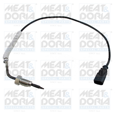 Sensor uitlaatgastemperatuur Meat Doria 12133E