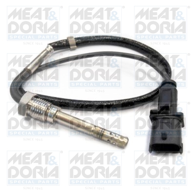 Sensor uitlaatgastemperatuur Meat Doria 12137