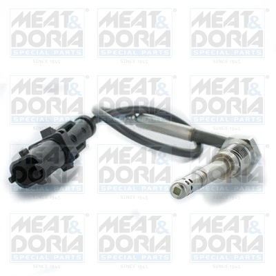 Sensor uitlaatgastemperatuur Meat Doria 12143