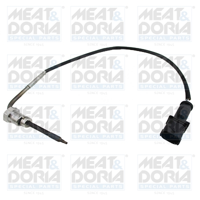 Sensor uitlaatgastemperatuur Meat Doria 12148E