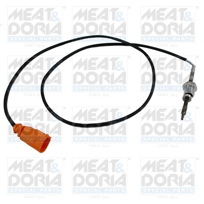 Sensor uitlaatgastemperatuur Meat Doria 12163E