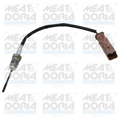 Sensor uitlaatgastemperatuur Meat Doria 12168