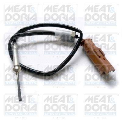 Sensor uitlaatgastemperatuur Meat Doria 12169