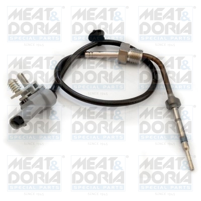 Sensor uitlaatgastemperatuur Meat Doria 12179