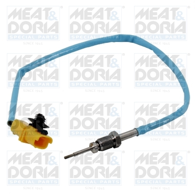 Sensor uitlaatgastemperatuur Meat Doria 12189