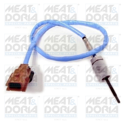 Sensor uitlaatgastemperatuur Meat Doria 12190