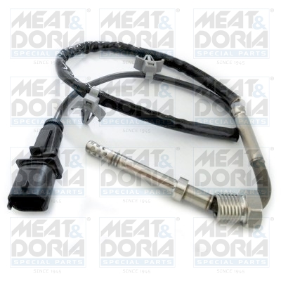 Sensor uitlaatgastemperatuur Meat Doria 12196