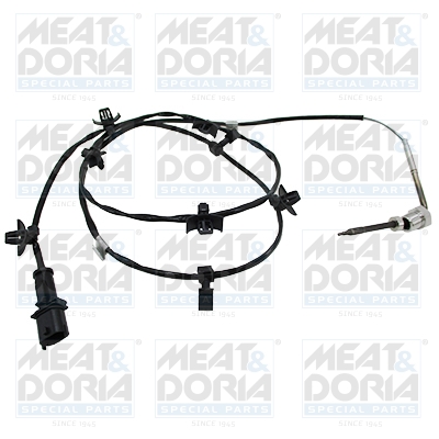 Sensor uitlaatgastemperatuur Meat Doria 12198