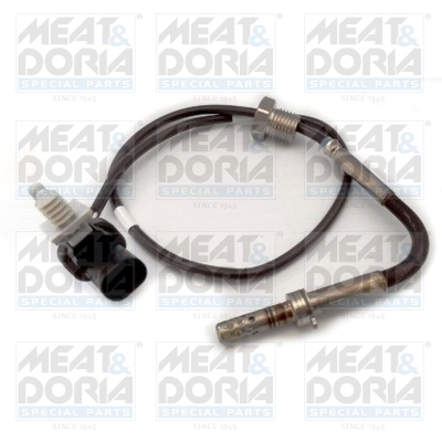 Sensor uitlaatgastemperatuur Meat Doria 12202