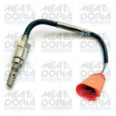 Sensor uitlaatgastemperatuur Meat Doria 12218