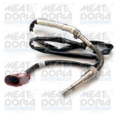 Sensor uitlaatgastemperatuur Meat Doria 12261