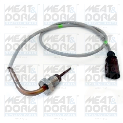 Sensor uitlaatgastemperatuur Meat Doria 12280