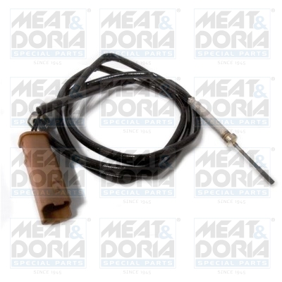 Sensor uitlaatgastemperatuur Meat Doria 12285