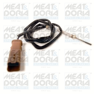 Sensor uitlaatgastemperatuur Meat Doria 12287