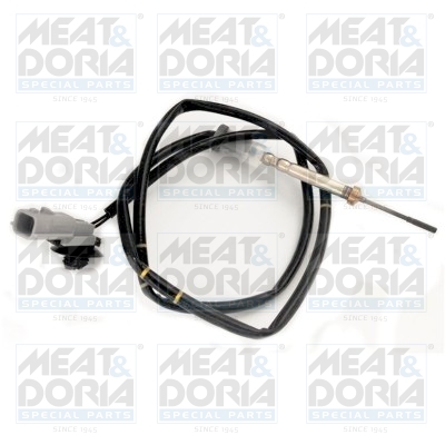 Sensor uitlaatgastemperatuur Meat Doria 12288