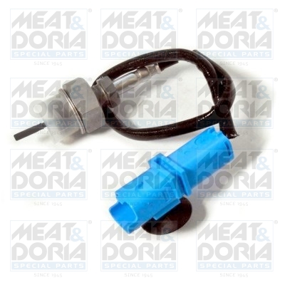 Sensor uitlaatgastemperatuur Meat Doria 12303