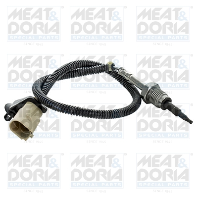 Sensor uitlaatgastemperatuur Meat Doria 12332