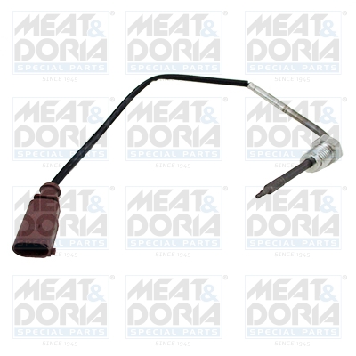 Sensor uitlaatgastemperatuur Meat Doria 12345