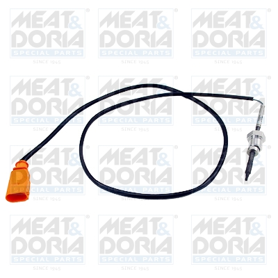 Sensor uitlaatgastemperatuur Meat Doria 12346