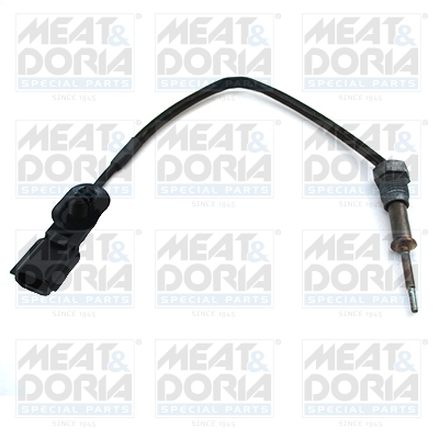 Sensor uitlaatgastemperatuur Meat Doria 12359