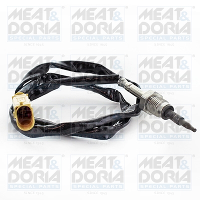 Sensor uitlaatgastemperatuur Meat Doria 12361