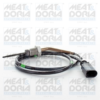 Sensor uitlaatgastemperatuur Meat Doria 12389