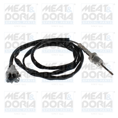 Sensor uitlaatgastemperatuur Meat Doria 12394